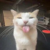 Sam
