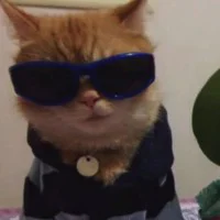 PoorGilbert