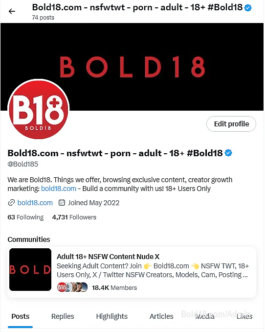 The progress with NSFW Twitter communities and Twitter NSFW accounts show substantial growth in this area. Highly relevant NS