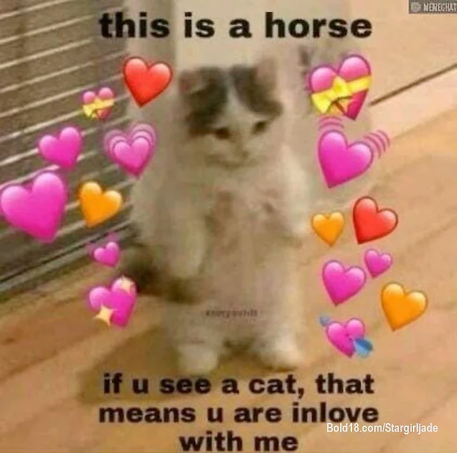 Literally, a horse neigh