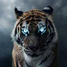 Tanner The Tiger